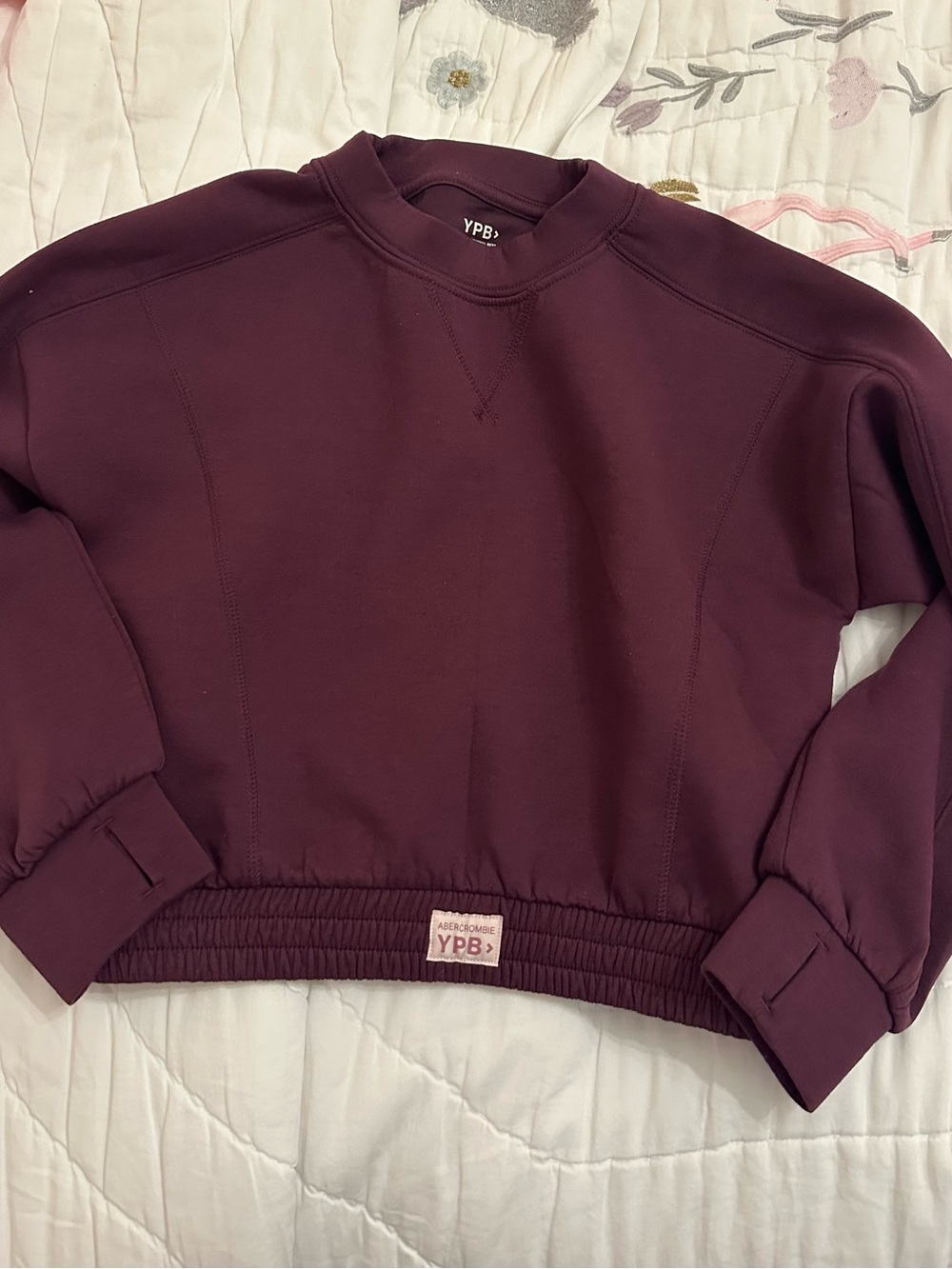 abercrombie kids Plum Crewneck Pullover and matching sweatpant.